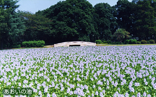 水城公園
