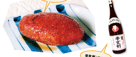 �[���[�t���C,�h�匕�i���{���j